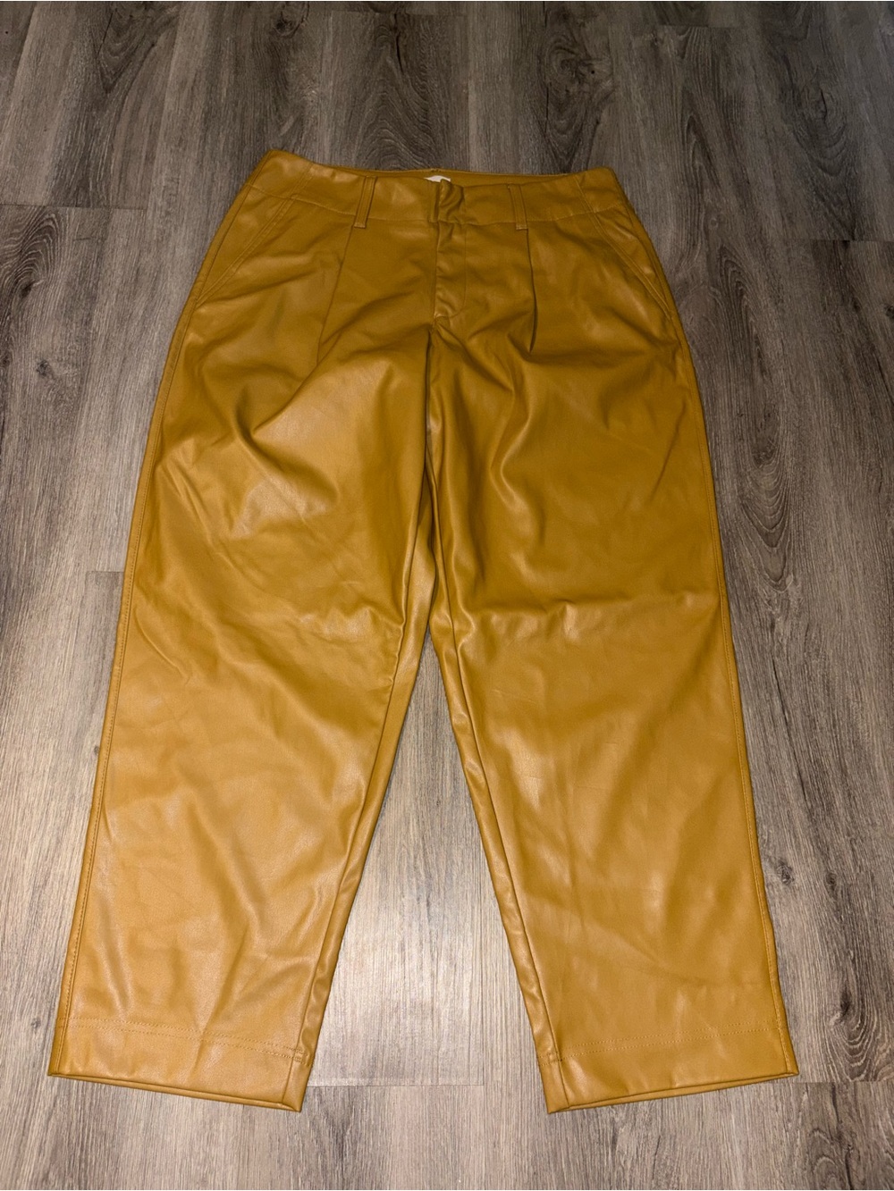 A New Day | Tan Pleather Pants